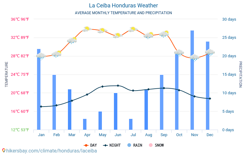 Louisiana Weather In January 2019